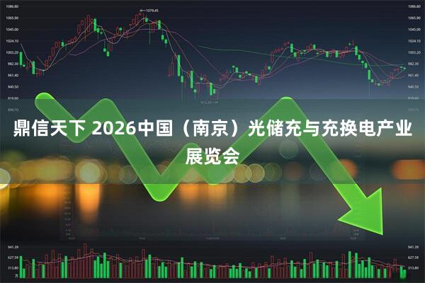 鼎信天下 2026中国（南京）光储充与充换电产业展览会